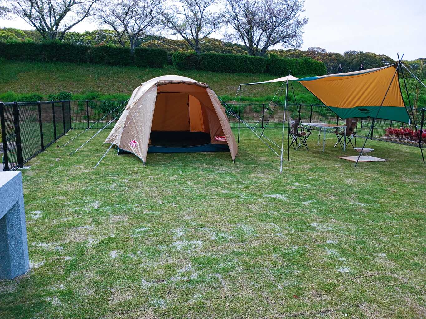 筑後広域公園オートキャンプ場 photo 3