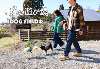 犬の遊び場DOG FIELD