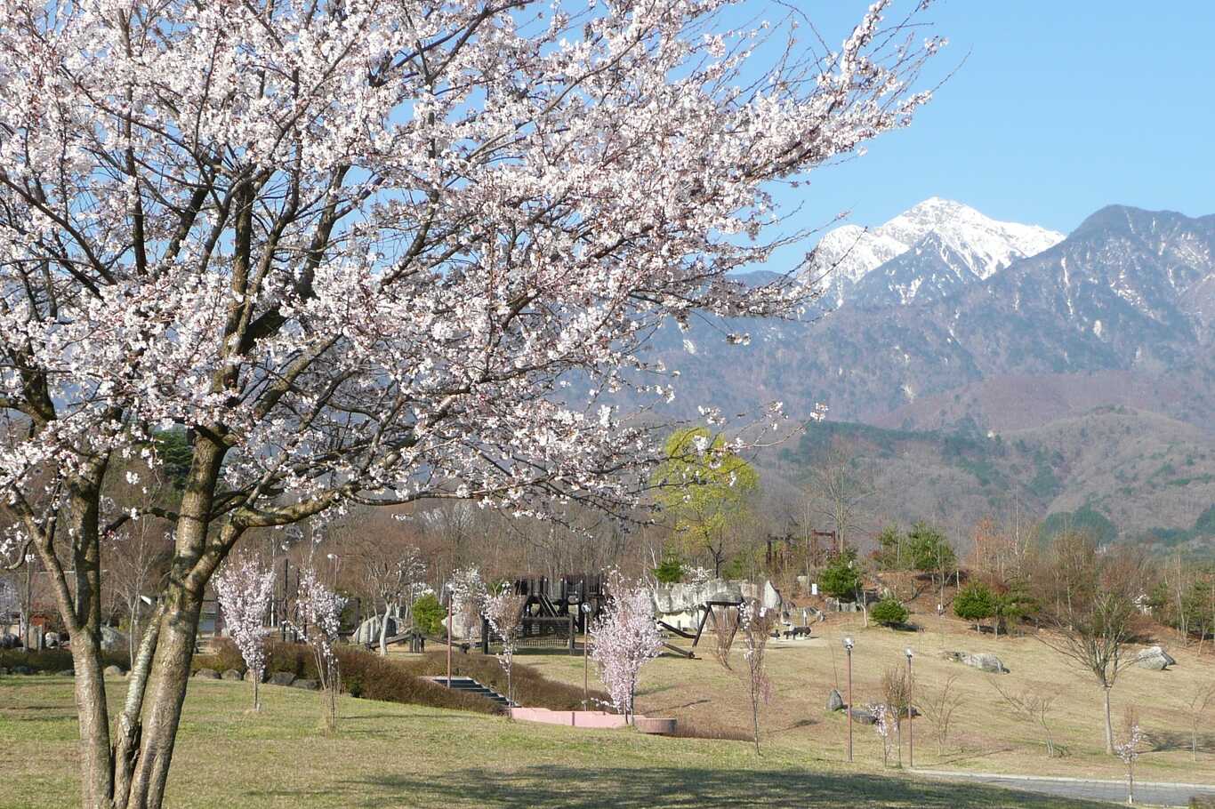 大武川オートキャンプ場 photo 5