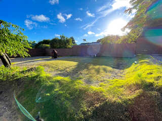 koniwa CAMP 天城湯ヶ島