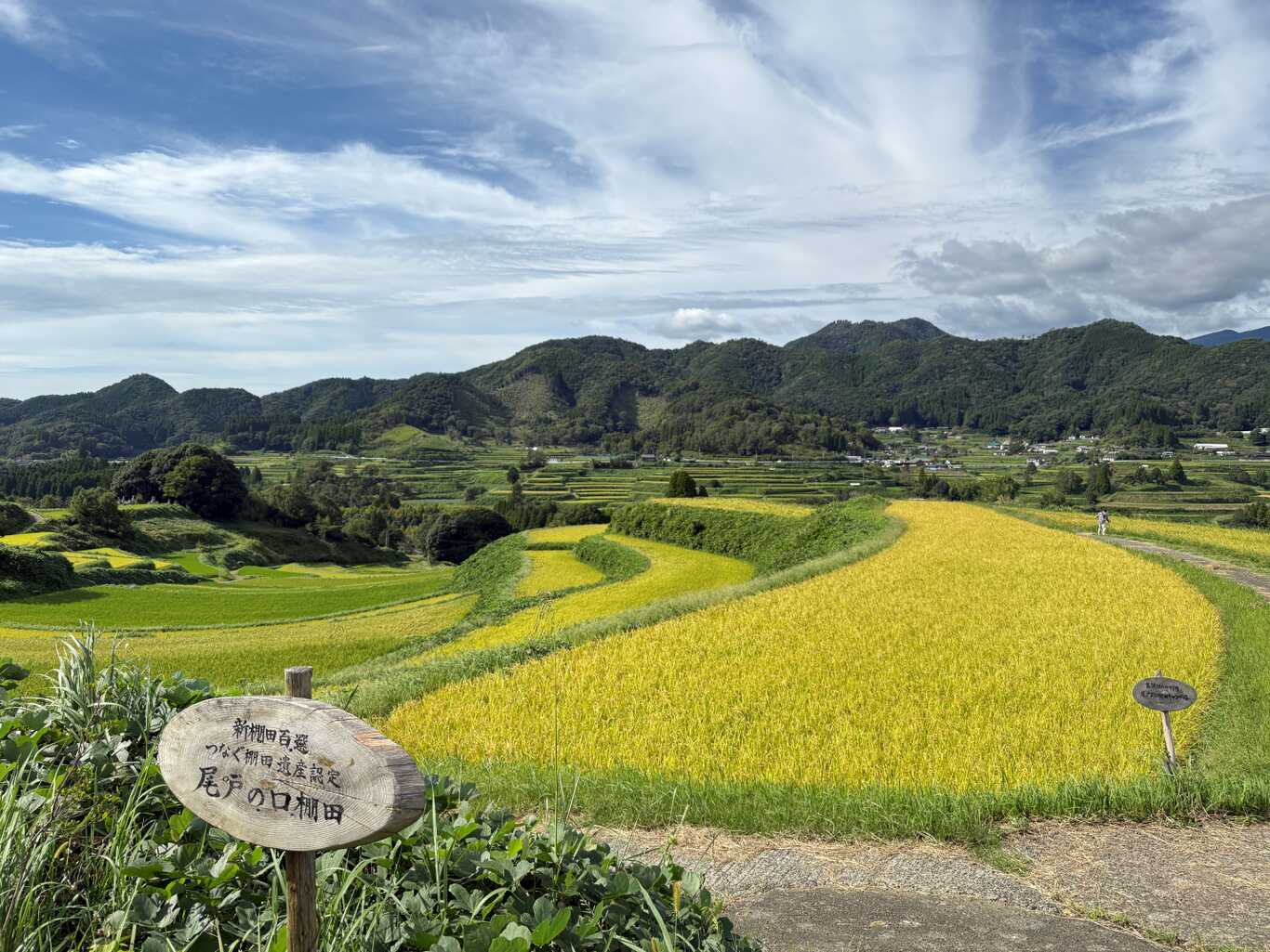 タカチホ棚田キャンプ photo 5