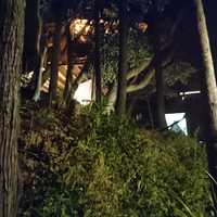 斜面を登っている途中から撮影、下からテント2基、一番上にツリーハウス。結構傾斜が強いです。
