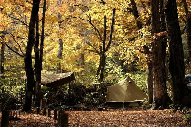 飛騨 高山のバンガローキャンプ場 なっぷ 日本最大級のキャンプ場検索 予約サイト なっぷ