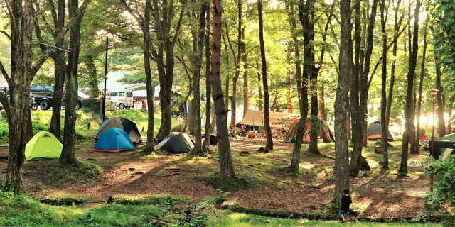 秋田のキャンプ場 日本最大級のキャンプ場検索 予約サイト なっぷ
