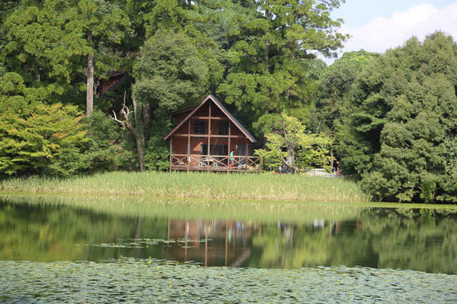 池の山キャンプ場 ご予約は なっぷ 日本最大級のキャンプ場検索 予約サイト なっぷ