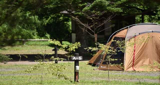 くるみの森キャンプ場 日本最大級のキャンプ場検索 予約サイト なっぷ