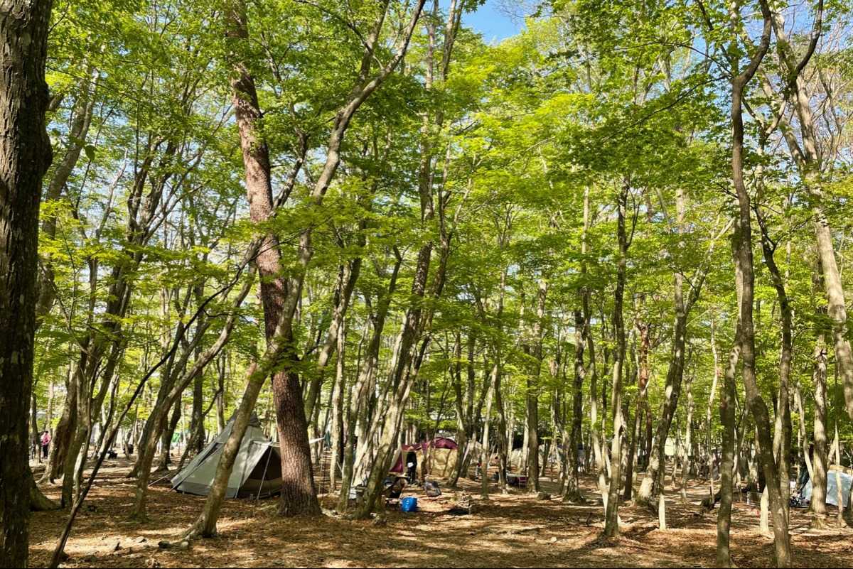 写真 - 本栖湖 SUMIKA CAMP FIELD [ なっぷ ] | 日本最大級のキャンプ場検索・予約サイト【なっぷ】