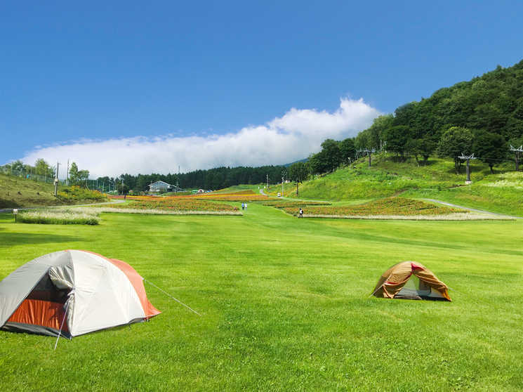 キャンプ場 日本最大級のキャンプ場検索 予約サイト なっぷ 日本最大級のキャンプ場検索 予約サイト なっぷ