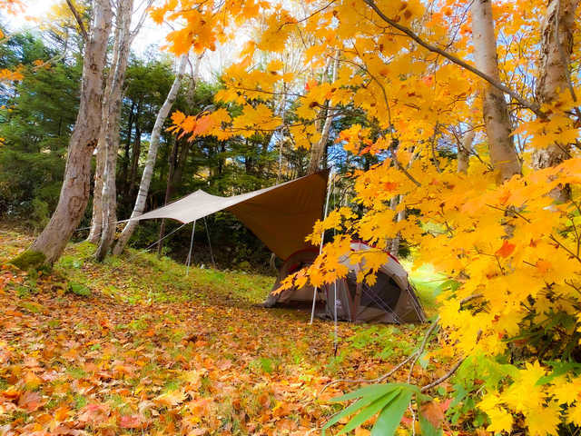 志賀高原熊の湯キャンプ場 日本最大級のキャンプ場検索 予約サイト なっぷ