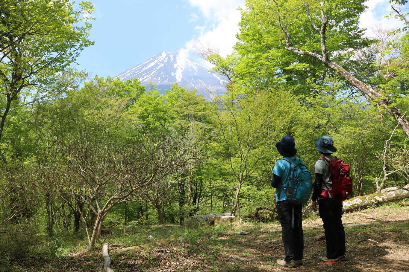 【宿泊者専用プラン】富士山フォレストウォーク 画像